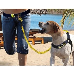Fusion Pet K9 Hands-Free Fitness Pack with Leash, Harness, and Belt