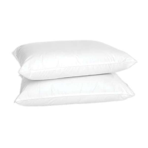 4earth™ 2-Pack Eco-Friendly Organic Cotton Standard Bed Pillows | Bed Bath & Beyond