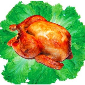 QILI Chinese Brand Cooked Chicken 28oz