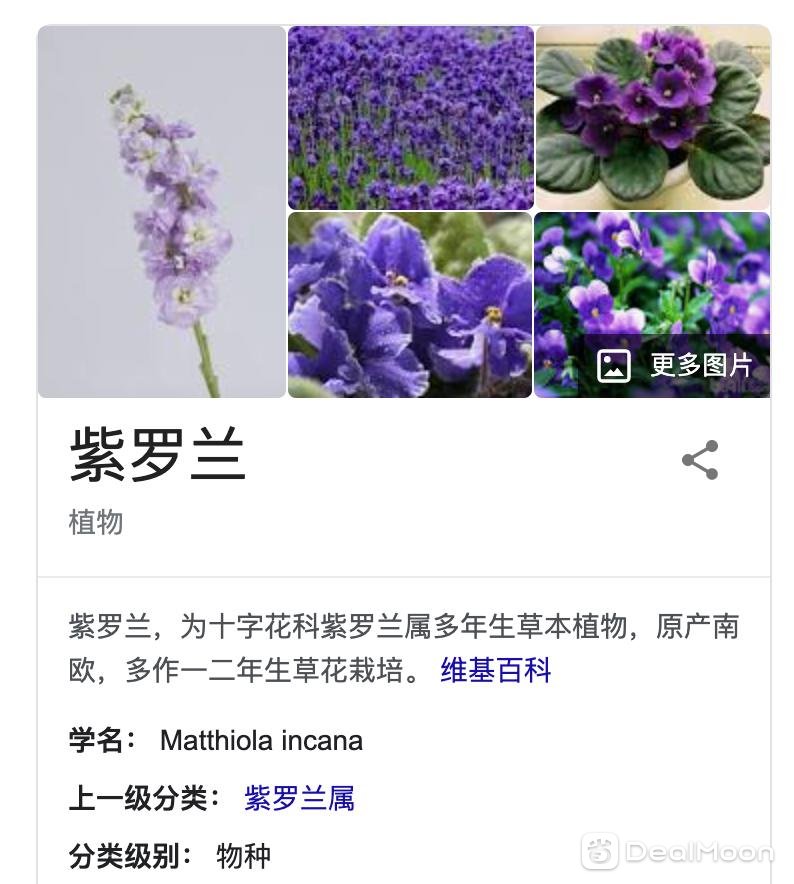 屏幕快照 2021-02-01 下午3.26.49.png