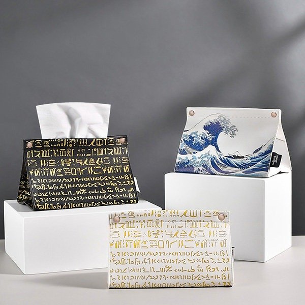 Creative Tissue Box from Apollo Box
