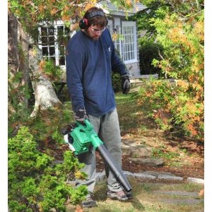 Hitachi RB24EAP 23.9cc 2-Cycle Gas Powered 170 MPH Handheld Leaf Blower (CARB Compliant)