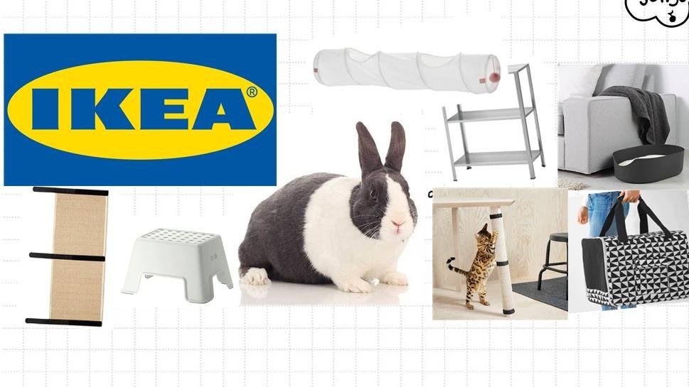 IKEA 给兔兔买什么（上）
