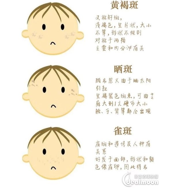 註解 2019-07-23 175248.jpg