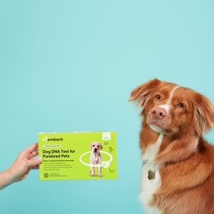 狗狗DNA+品种检测测试包