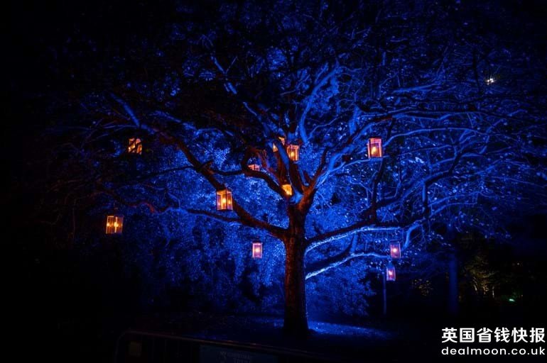 pw_christmas-at-the-botanics_100
