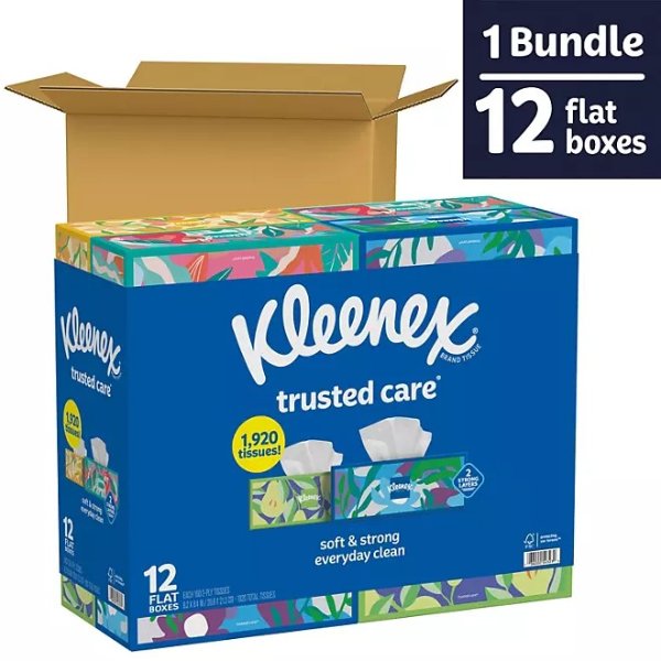 Trusted Care 2-ply Facial Tissues, Flat Boxes (160 tissues/box, 12 boxes)