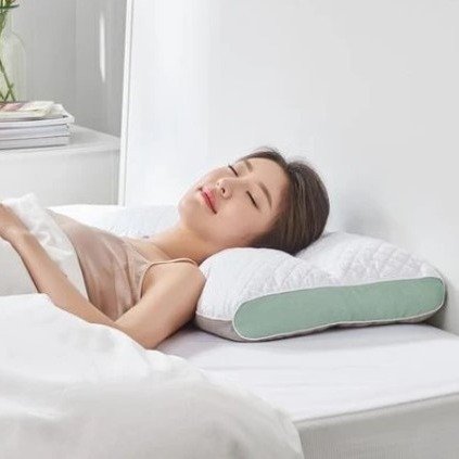 Adjustable Pillow filled with Alpine Bitter Shell