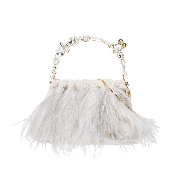 Diana feather crystal-handle bag