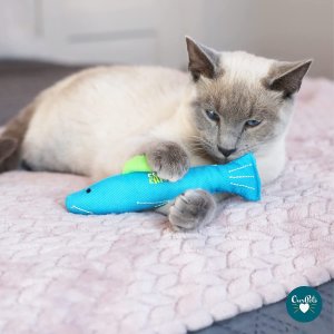 Our Pets 100-Percent North American Catnip Filled Fish Cat Toy-Annette