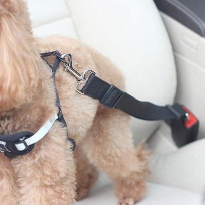 Dog or Cat Vehicle Seat Belt (2-Pack)
