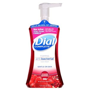 补货：Dial 红莓味抗菌泡沫洗手液 7.5oz
