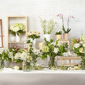 Under $50ProFlowers Shop Flowers and Gifts