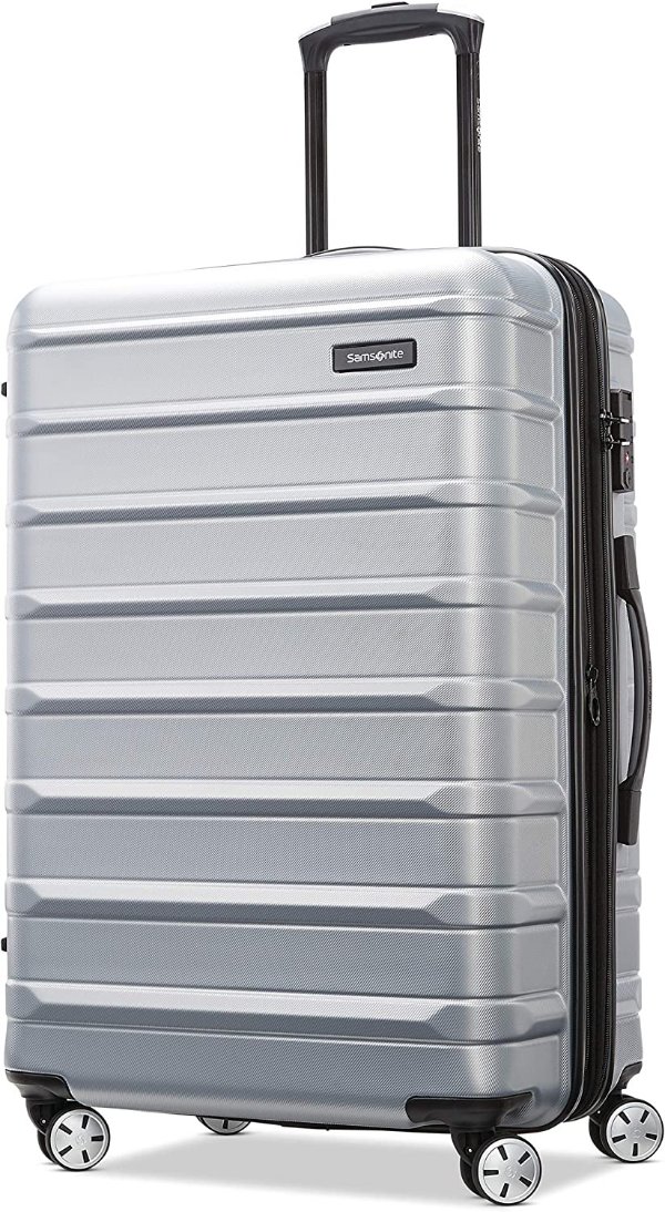 Unisex Adults Expandable Luggage With Spinner Wheels, Artic Silver, Checked-Medium 24-Inch