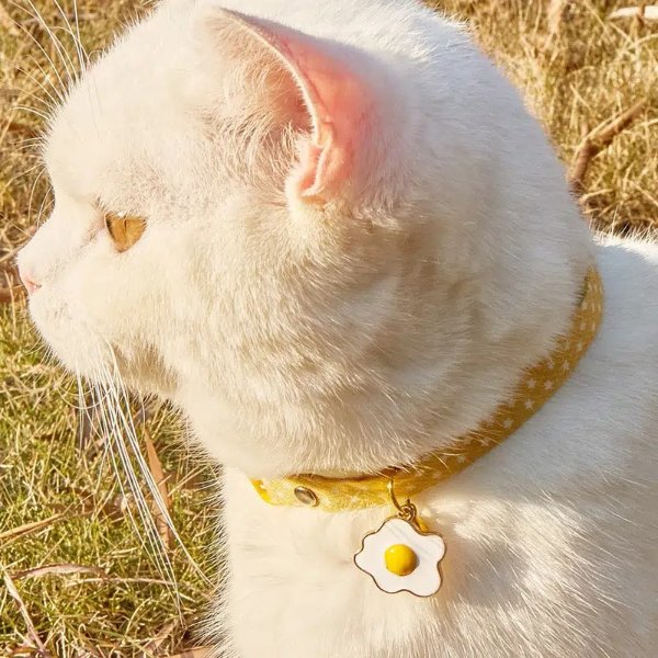 1pc Egg Cartoon Cat Pet Collar