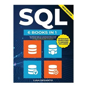 Kindle 电子书籍免费看, SQL新手六合一, 空气炸锅食谱免费