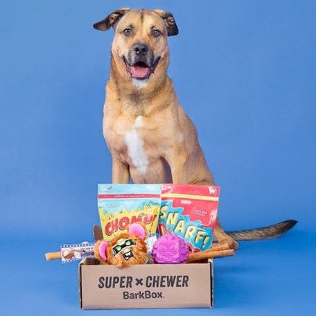 with Subscription @ Super Chewer by BarkBox