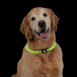 Nite Howl Rechargeable LED Safety Necklace