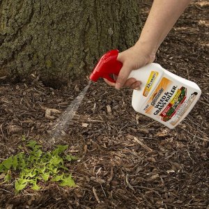 Spectracide Weed & Grass Killer 2, , 32 fl Ounce