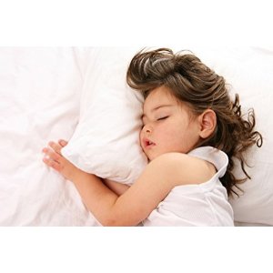 Dreamtown Kids Toddler Pillow With Pillowcase, White, 14x19