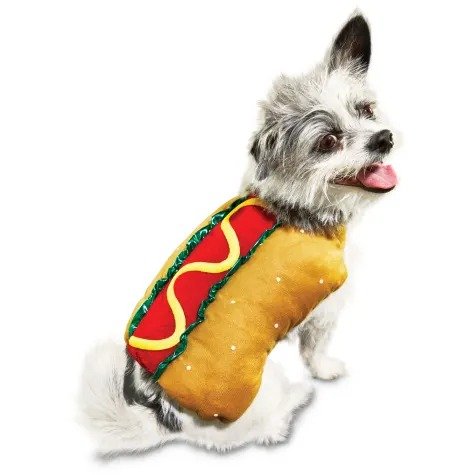 Hot Diggity Dog Costume, XX-Small | Petco