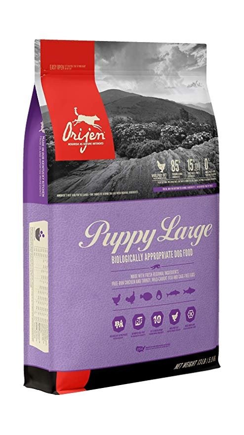 Puppy Large High-Protein, Grain-Free, Premium Quality Meat, Dry Dog Food