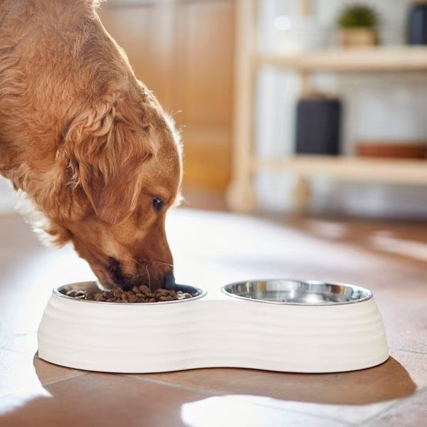 Frisco Stainless Steel Double Dog Bowls with Melamine Stand