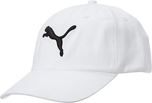 logo标棒球帽