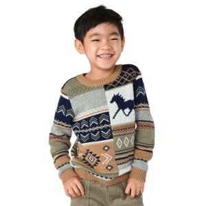 GymboreeBoys Long Sleeve Patchwork Sweater - Little Rocky Mountain | Gymboree - CHIPMUNK