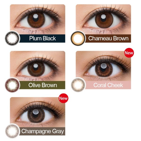 [10 pcs] / Daily Disposal 1day Disposal Colored Contact Lens DIA14.0mm