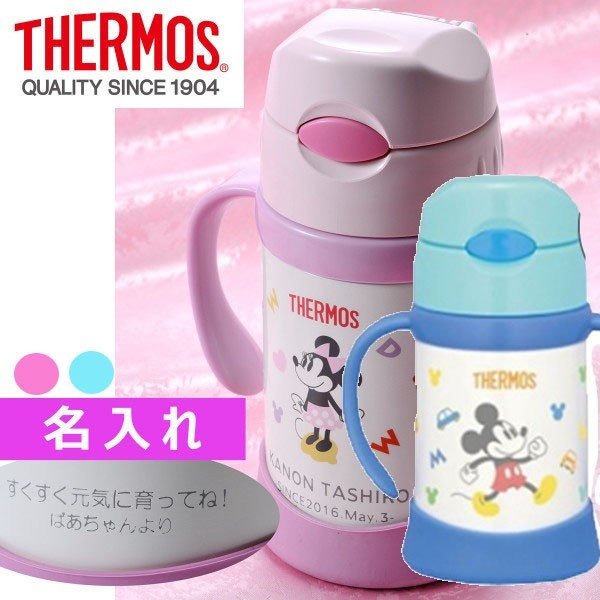 Thermos FHI-250DS