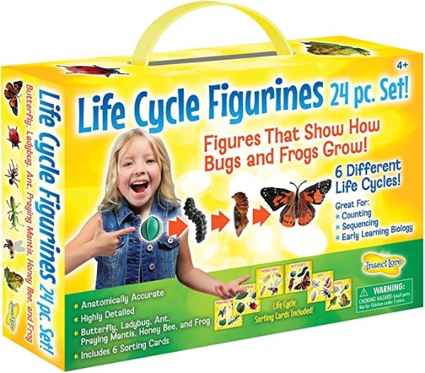 生命周期玩具模型24个