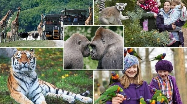 英国动物园推荐 | 全境10大National Safari Park盘点！