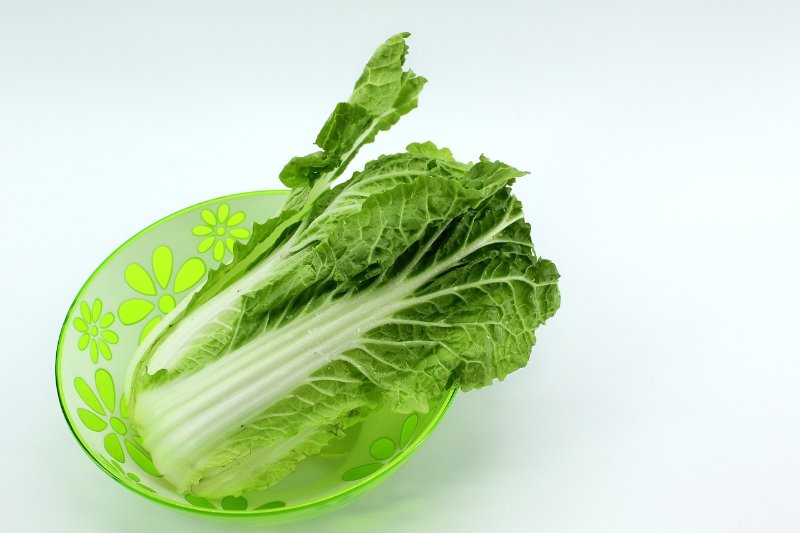 白菜
