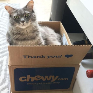 Chewy First Autoship