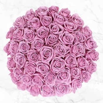 Pre-Order Valentine's Day 50 Stem Lavender Roses