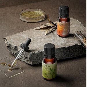 Amazon Anjou Essential Oils Set 6-Pack Gift Set Sale