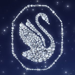 Swarovski Select Jewelry On Sale