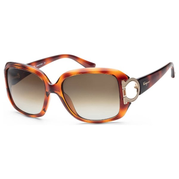 Ferragamo Women's Sunglasses SF666S-238