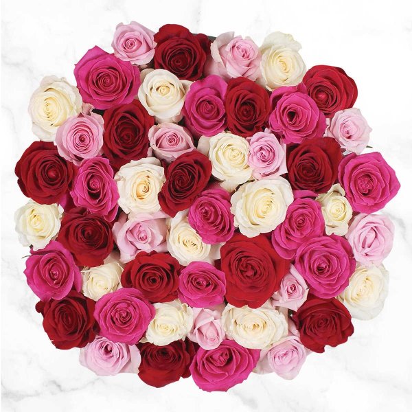 Valentine's Day 50-stem Quad-Colored Roses