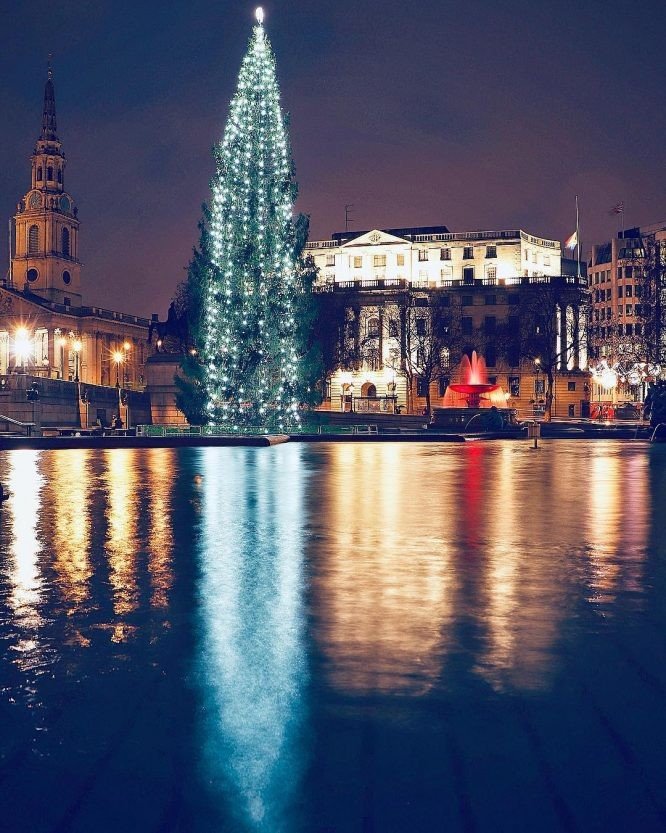 Trafalgar-Square-tree-666x833
