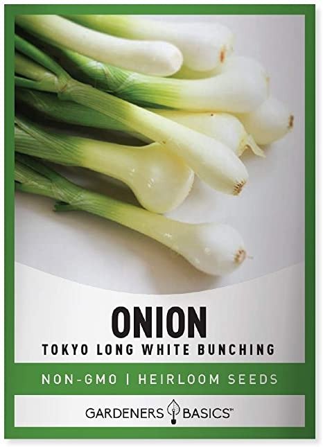 Green Onion Seeds for Planting - Tokyo Long White Bunching is A Great Heirloom, Non-GMO Vegetable Variety- 200 Seeds Great for Outdoor Spring, Winter and Fall Gardening by Gardeners Basics