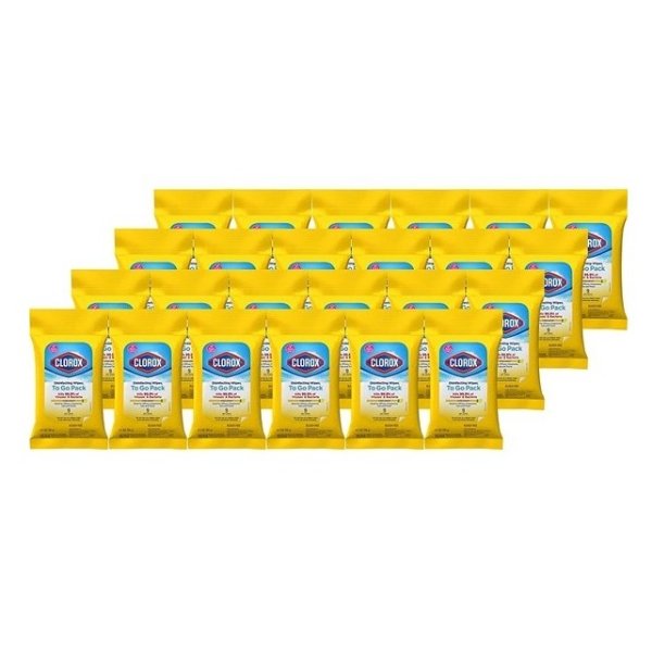 Disinfecting Wipes Travel Size 48 Pack