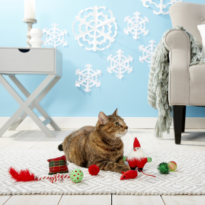 Chewy Holiday Dog & Cat Toys on Sale