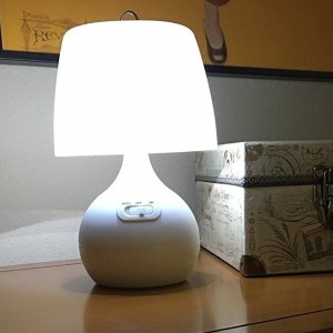 Light It! By Fulcrum LED无线运动传感器台灯，白色