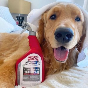Buy one get one 50% offNature's Miracle Pet Products on Sale