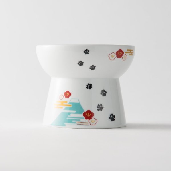 Raised Cat Food Bowl, Fuji, Large - Chewy.com