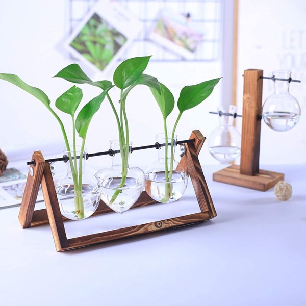 HUABEI Plant Terrarium with Wooden Stand