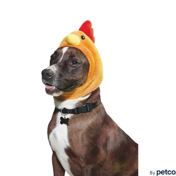 Chicken Headpiece for Dogs & Cats, Small/Medium | Petco