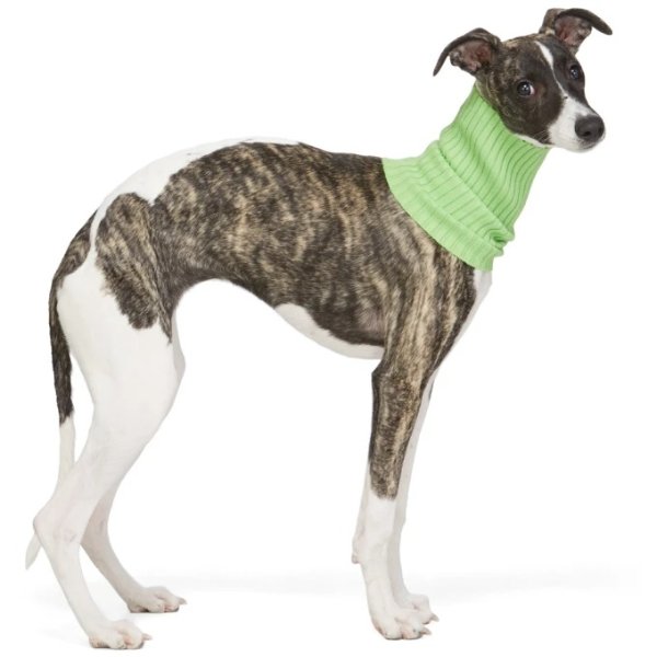 giu giu - Green Nonna Turtleneck Dog Collar